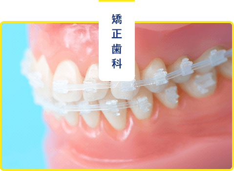 矯正歯科